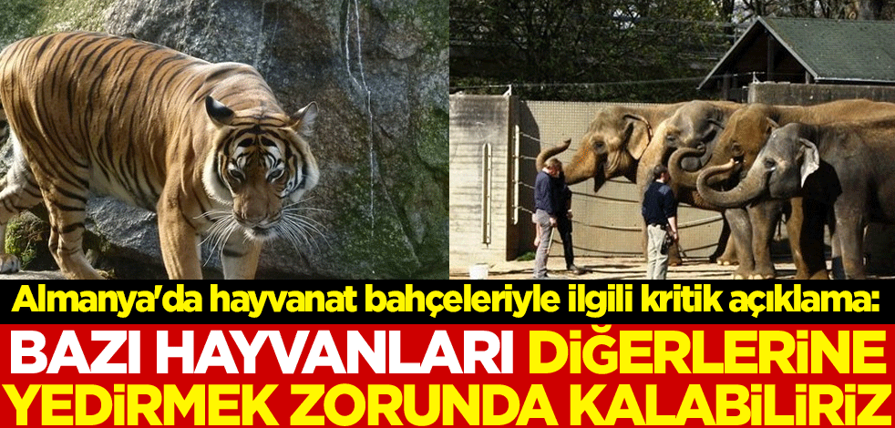 Almanya'da hayvanat bahçeleriyle ilgili kritik açıklama