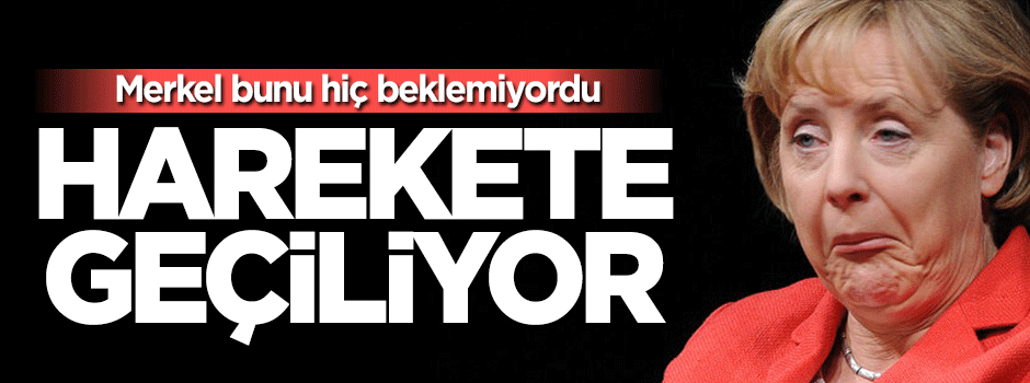 Almanya'da hükümetin küçük ortağı Merkel'i mahkemeye veriyor
