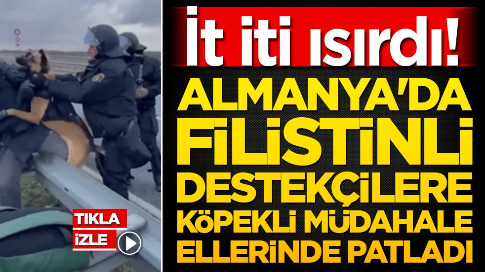 Almanya'da köpekli müdahale polisin elinde patladı! Filistin destekçilerine salınan köpek polisi ısırdı!