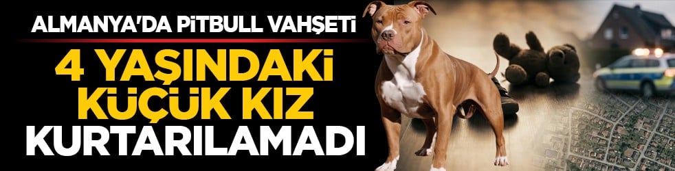 Almanya'da pitbull vahşeti: 4 yaşındaki küçük kız kurtarılamadı