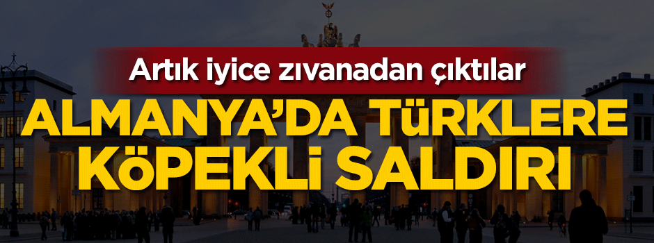 Almanya'da Türklere köpekli saldırı