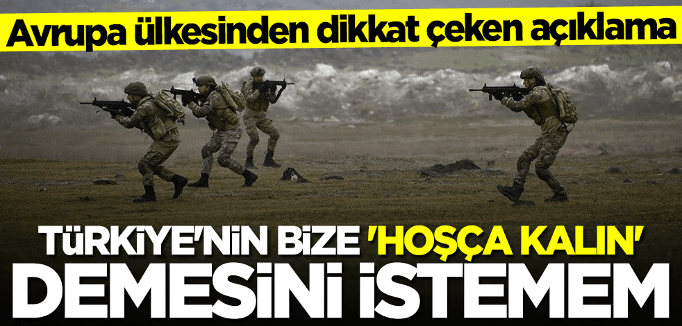 Almanya'dan çarpıcı açıklama: Türkiye'nin bize 'hoşça kalın' demesini istemem