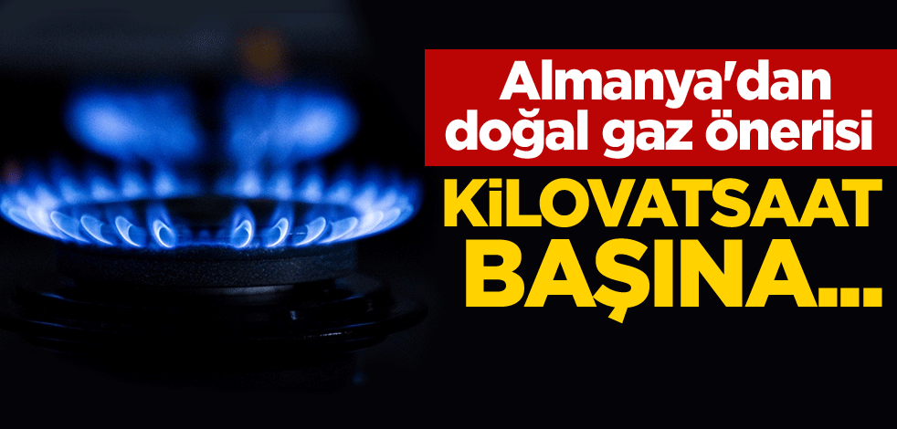 Almanya'dan doğal gaz önerisi! Kilovatsaat başına...