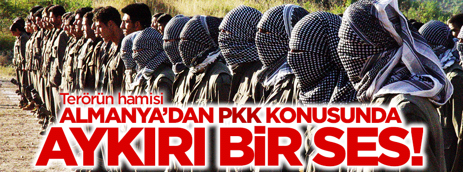 Almanya'dan farklı ses: PKK totaliter bir terör örgütüdür!
