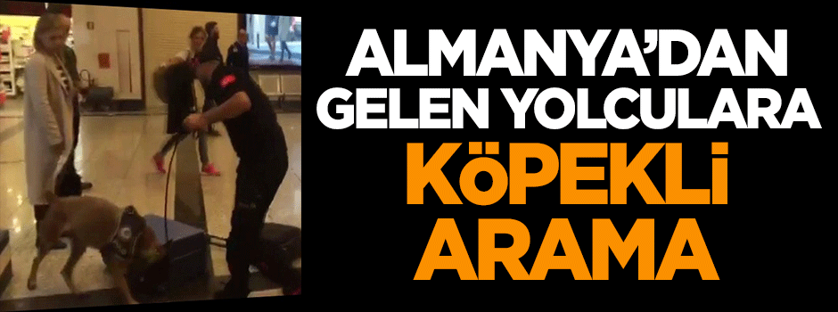 Almanya'dan gelen yolculara köpekli arama
