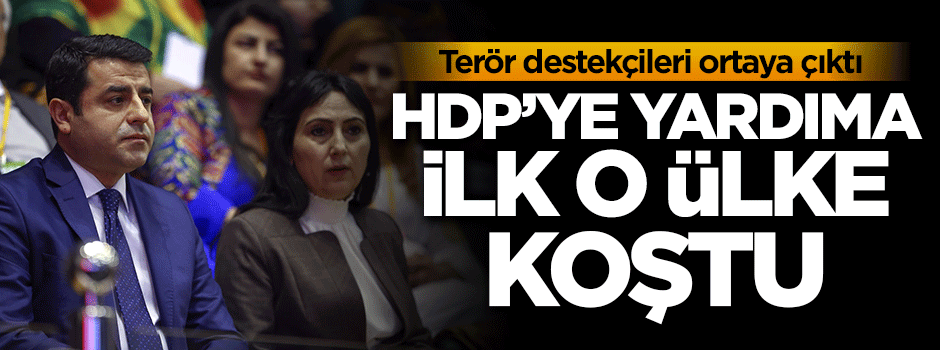 Almanya'dan HDP'ye acil ziyaret