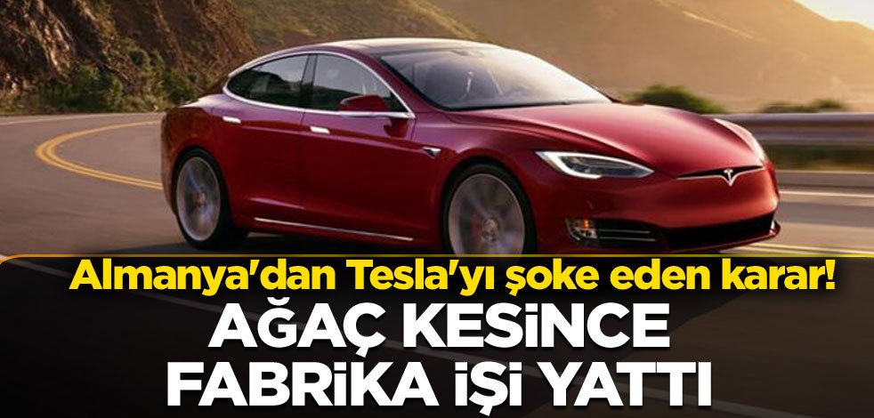 Almanya'dan Tesla'yı şoke eden karar! Ağaç kesince fabrika işi yattı
