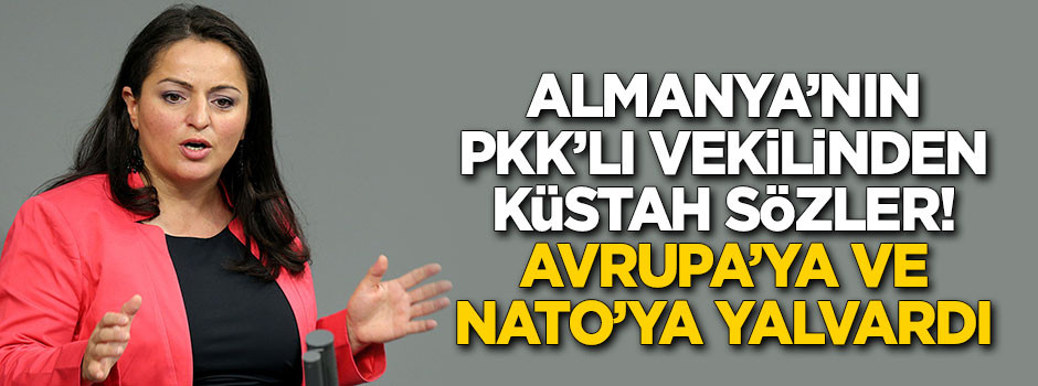 Almanya'nın PKK'lı vekilinden küstah sözler!