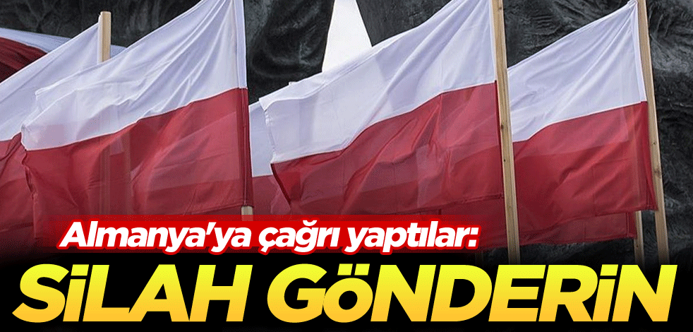 Almanya'ya çağrı yaptılar: Silah gönderin