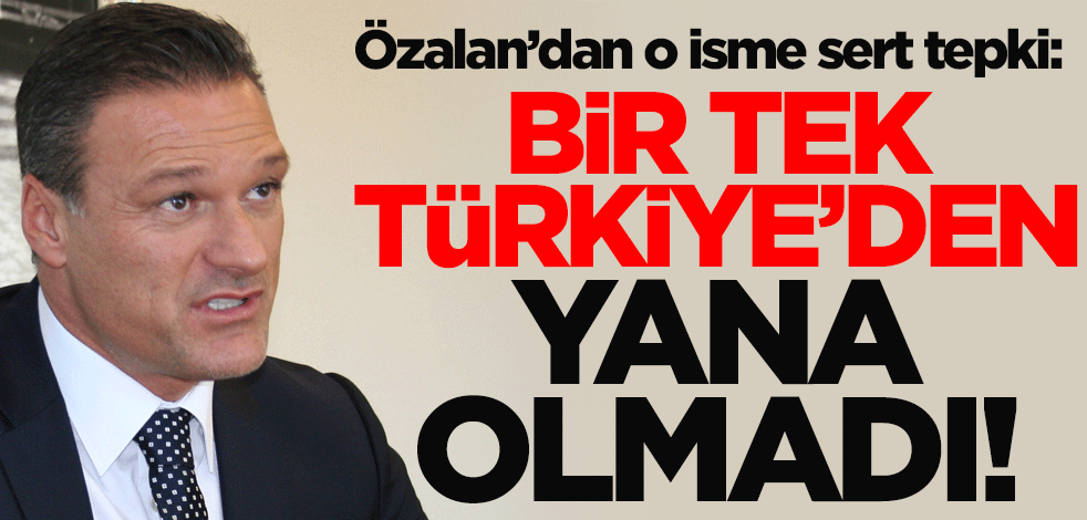 Alpay Özalan'dan CHP'li Sezgin Tanrıkulu'na sert tepki: Bir tek Türkiye'den yana olmadı