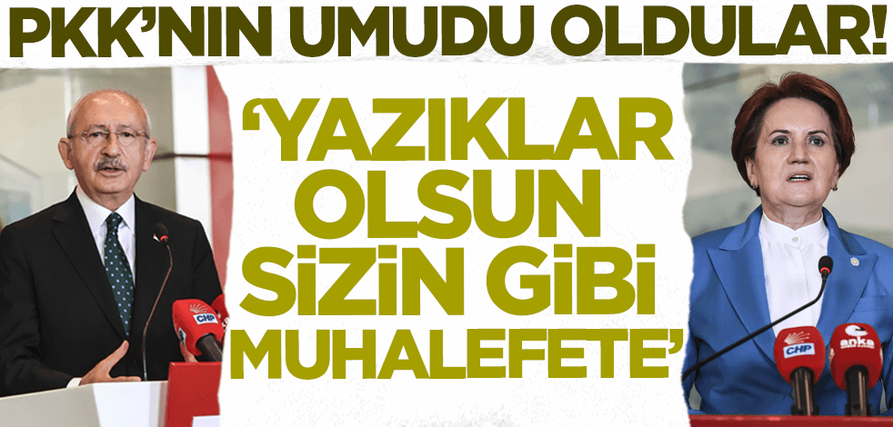 Alpay Özalan'dan çok sert tepki! 'Yazıklar olsun sizin gibi terörün umudu olmuş muhalefete'