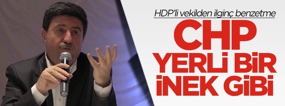 Altan Tan: CHP yerli bir inek gibi...