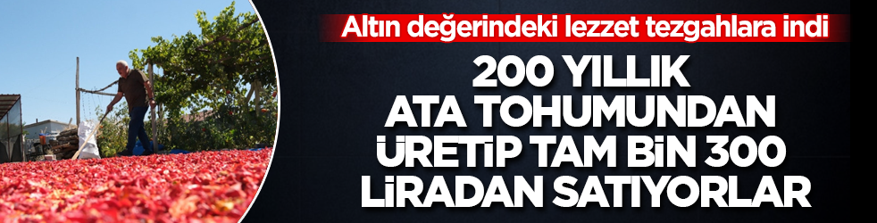 Altın değerindeki lezzet tezgahlara indi! 200 yıllık ata tohumundan üretip tam bin 300 liradan satıyorlar