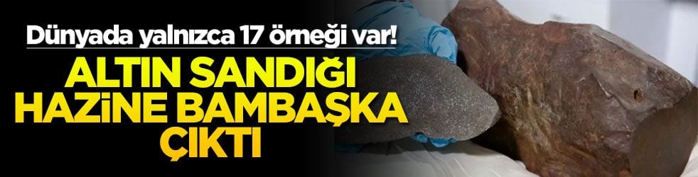 Altın sandığı hazine bambaşka çıktı! Dünyada yalnızca 17 örneği var