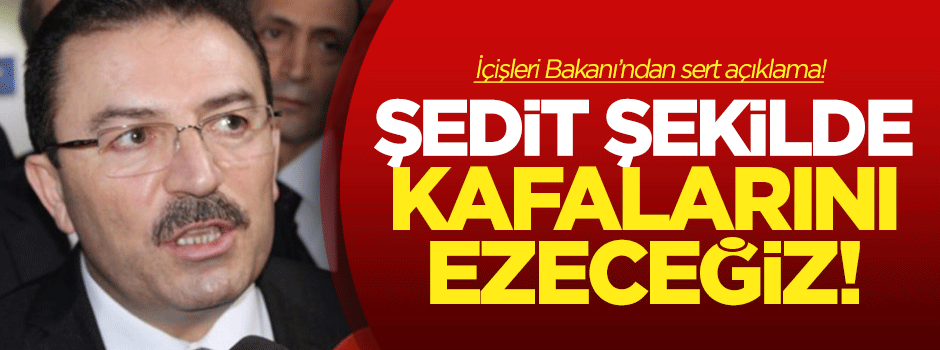 Altınok: Şedit şekilde kafalarını ezeceğiz!