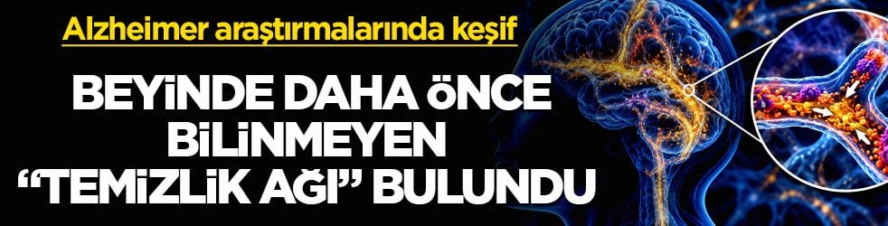 Alzheimer araştırmalarında heyecanlandıran keşif ! Beyinde daha önce bilinmeyen "temizlik ağı" bulundu