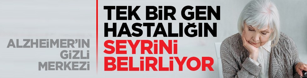 Alzheimer’ın gizli merkezi: Tek bir gen hastalığın seyrini belirliyor