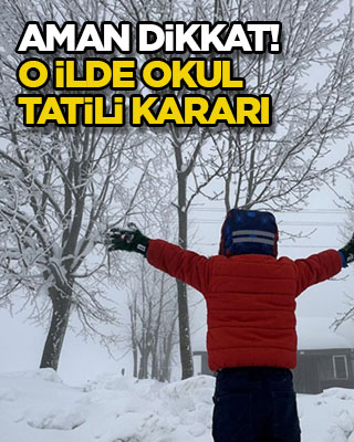 Aman dikkat! O ilde okul tatili kararı