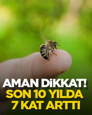 Aman dikkat! Son 10 yılda 7 kat arttı