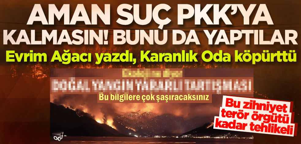 Aman suç, terör örgütü PKK'ya kalmasın! Evrim Ağacı yazdı karanlık Oda köpürttü