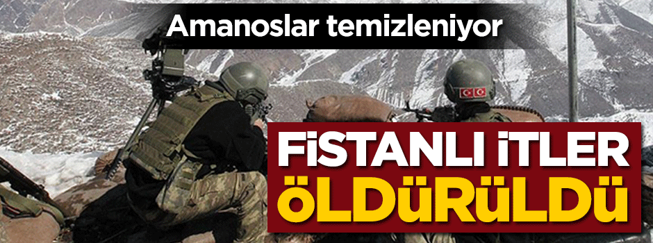 Amanoslar temizleniyor! Fistanlı itler öldürüldü