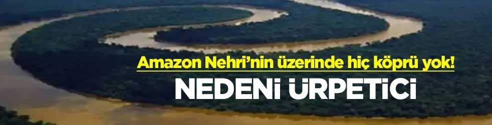 Amazon Nehri’nin üzerinde hiç köprü yok! Nedeni ürpetici