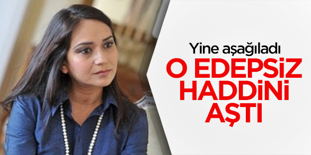 Amberin Zaman iyice edepsizleşti