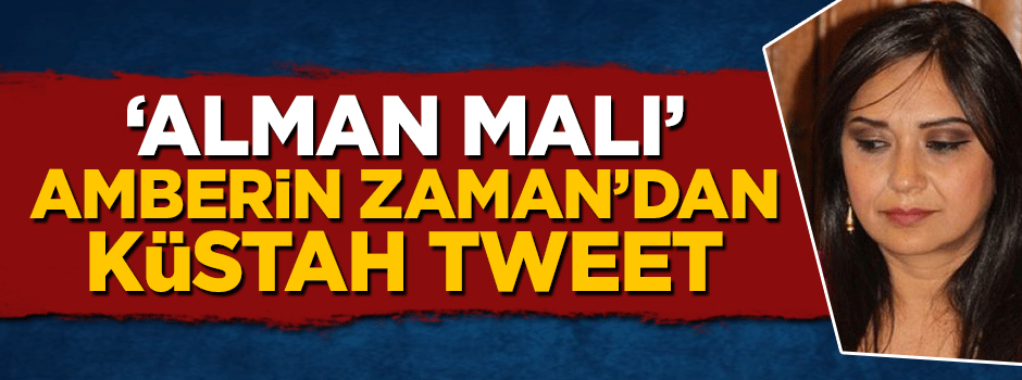 Amberin Zaman'dan küstah tweet! Rahatsız oldu
