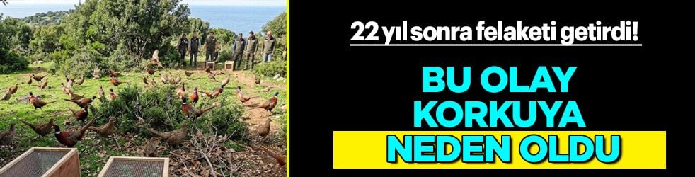 Amerika'da yaptılar: Bırakılan 67 kuş 22 yıl sonra felaketi getirdi! Olay korkuya neden oldu... Tohumlar da bulundu