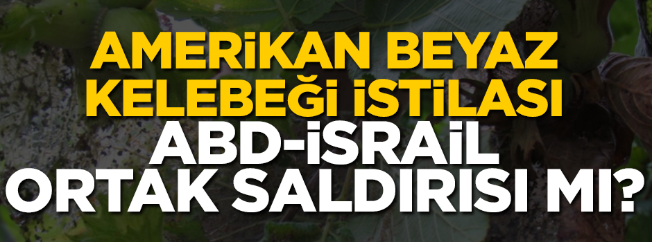 Amerikan Beyaz Kelebeği istilası ABD-İsrail ortak saldırısı mı?