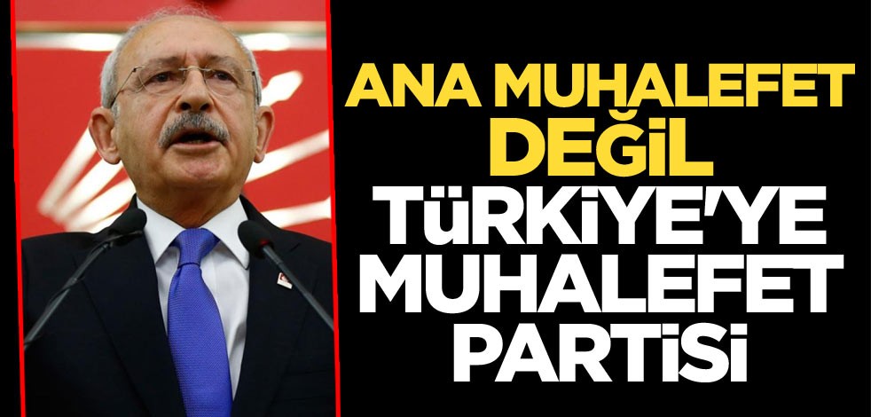Ana muhalefet değil Türkiye'ye muhalefet partisi