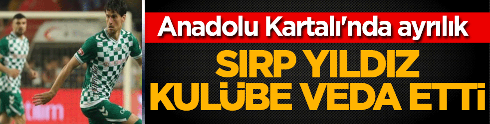 Anadolu Kartalı'nda ayrılık: Sırp yıldız kulübe veda etti