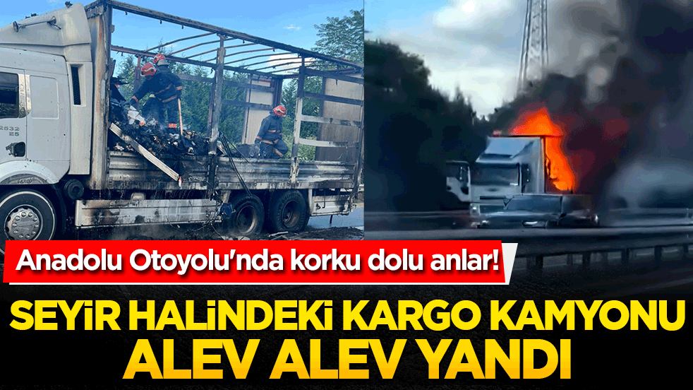 Anadolu Otoyolu'nda korku dolu anlar! Seyir halindeki kargo kamyonu alev alev yandı!