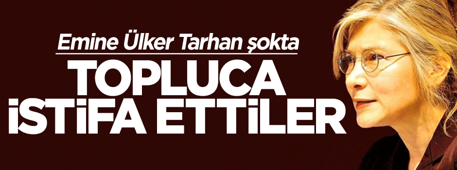 Anadolu Partisi'nde Başkanlık Divanı topluca istifa retti