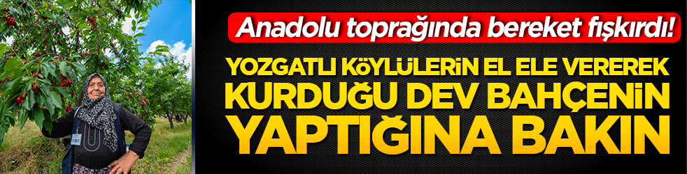 Anadolu toprağında bereket fışkırdı! Yozgatlı k&ouml;yl&uuml;lerin el ele vererek kurduğu dev bah&ccedil;e d&uuml;nyayı doyuruyor!