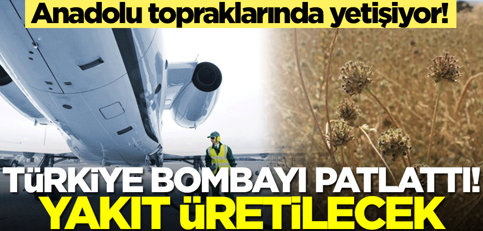 Anadolu topraklarından fışkırıyor! Türkiye bombayı patlattı... Jet yakıtı üretilecek