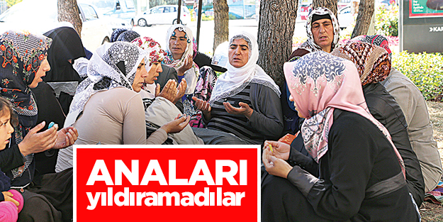 Anaları yıldıramadılar