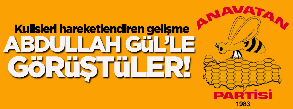 ANAP, Abdullah Gül'le görüştü