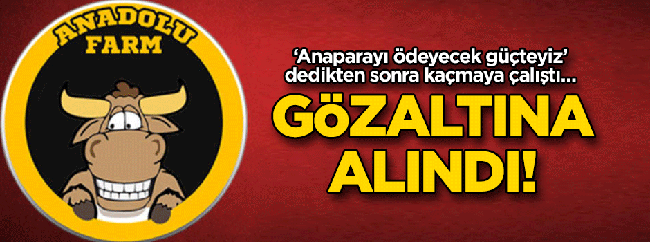 ‘Anaparayı ödeyecek güçteyiz’ dedikten sonra kaçmaya çalıştı… Gözaltına alındı!