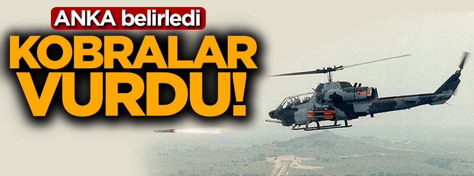 ANKA belirledi kobralar bomba yağdırdı!