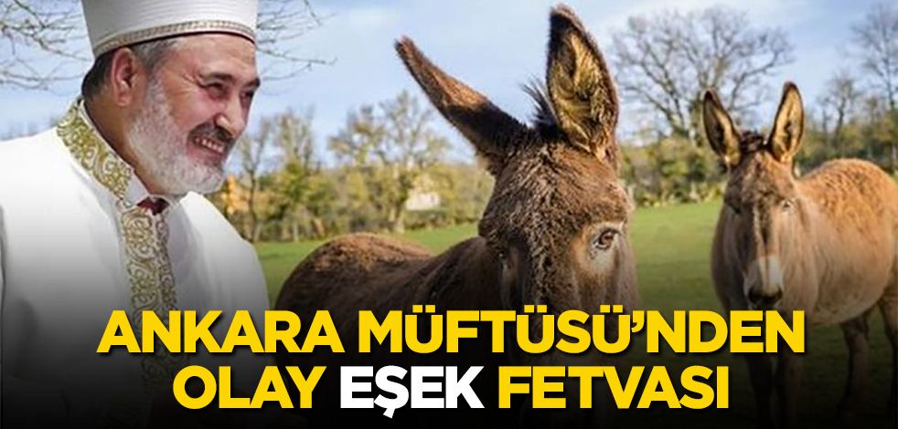 Ankara Müftüsü'nden olay "eşek" fetvası