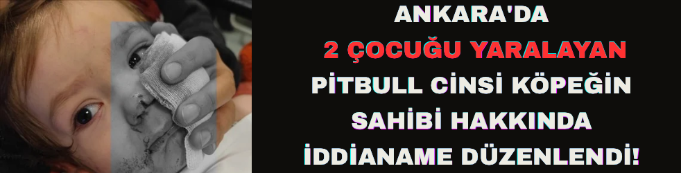 Ankara'da 2 çocuğu yaralayan pitbull cinsi köpeğin sahibi hakkında iddianame düzenlendi