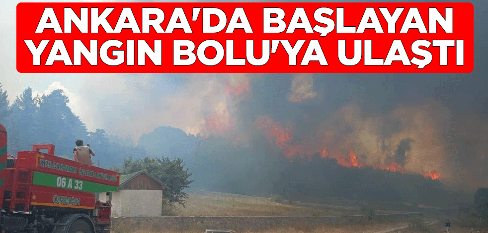 Ankara'da başlayan yangın Bolu'ya ulaştı