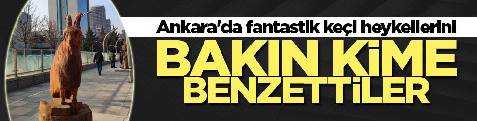 Ankara'da fantastik keçi heykellerini bakın neye benzettiler