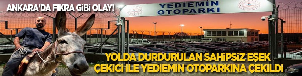 Ankara'da fıkra gibi olay! Yolda durdurulan sahipsiz eşek çekici ile yediemin otoparkına çekildi