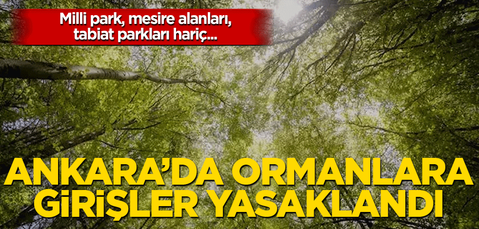 Ankara’da ormanlara girişler yasaklandı