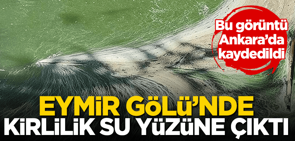 Ankara’daki Eymir Gölü’nde dikkat çeken kirlilik!