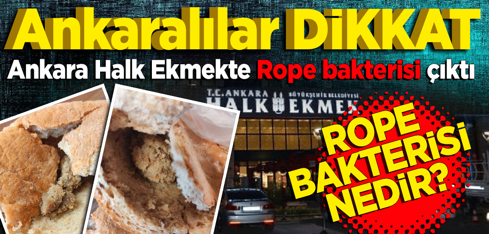 Ankaralılar dikkat! Ankara Halk Ekmek’te Rope bakterisi çıktı