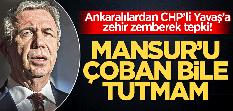 Ankaralılardan CHP’li Yavaş’a zehir zemberek tepki! Mansur'u çoban bile tutmam