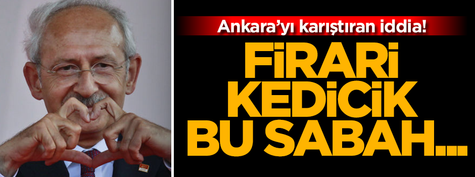 Ankara'yı karıştıran iddia! Firari kedicik bu sabah...